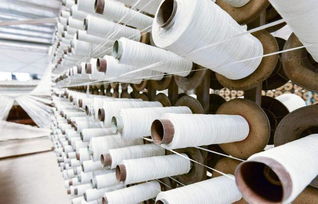 農(nóng)村 搖錢(qián)樹(shù) 開(kāi)花時(shí),有沁人心脾的酒香,幼苗可賣700多元